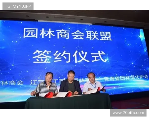 成都乒乓球队运营分析：成功经验与面临挑战的深度探讨